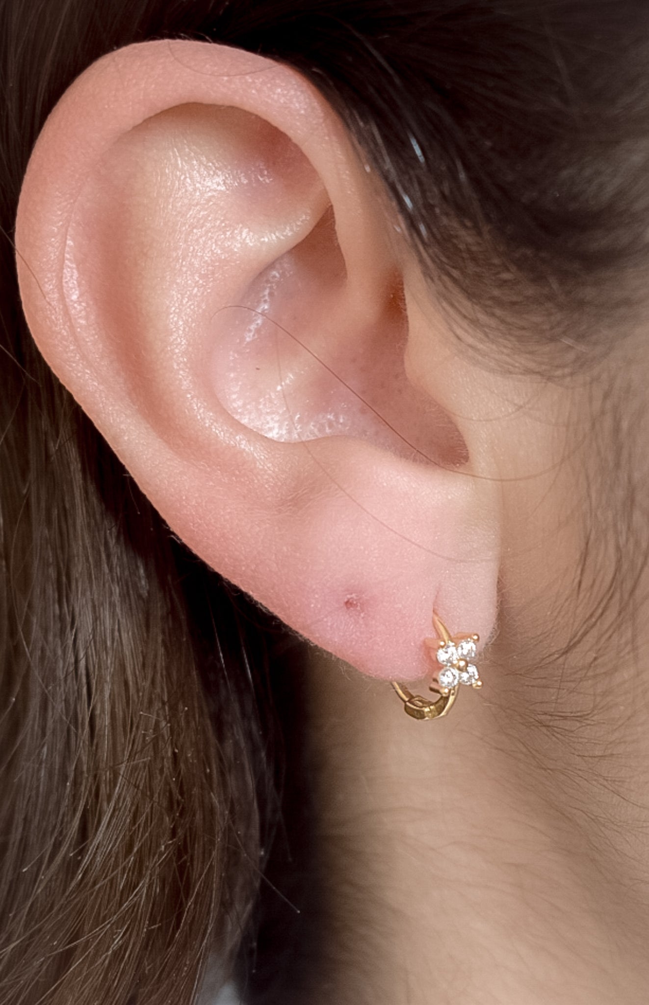 Fiore Earrings