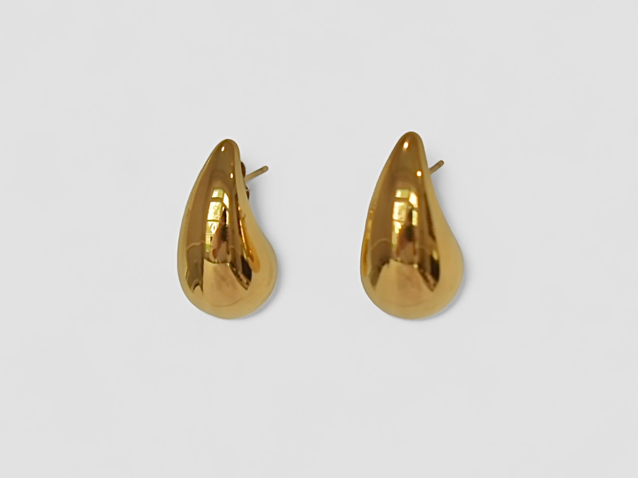 Botega Veneta Earrings